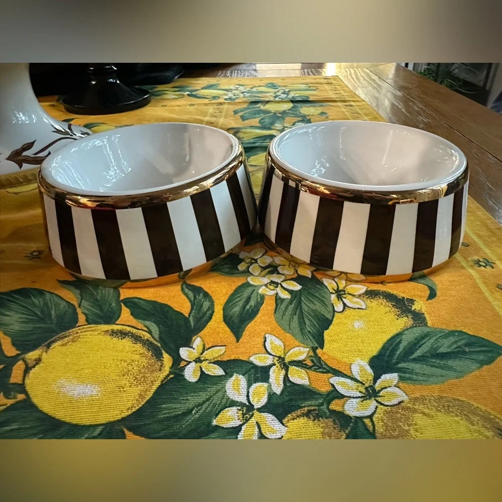 Vintage Henri Bendel Centennial Stripe and Gold Rimmed Pet Bowl Pair in EUC